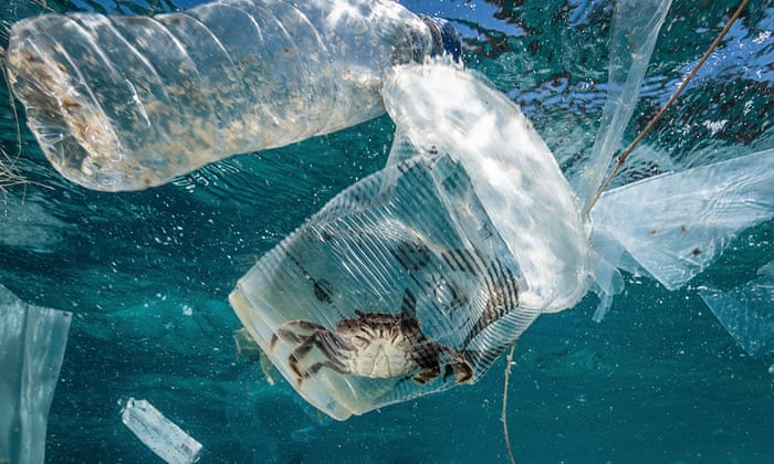 Plastic In The Ocean This Site Is Designed To Spread Awareness About Marine Pollution